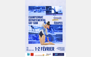 CR du Championnat Départemental par équipes - 1er et 2 Février à Colomiers