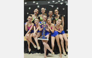 CR de la compétition départementale des ensembles  GR le 9 février