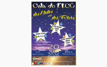 Gala 2026 "Des Etoiles et des Rêves"
