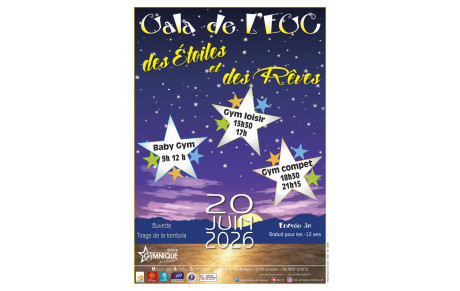 Gala 2026 "Des Etoiles et des Rêves"