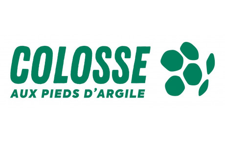 Colosse aux pieds d'argiles